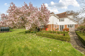 Photo 24- click for photo gallery